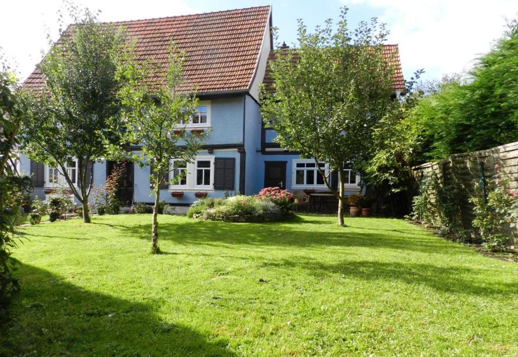 Ferienhaus Behringen Behringen  Экстерьер фото