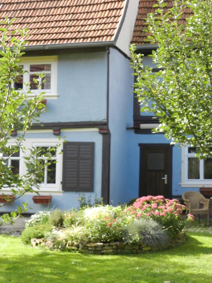 Ferienhaus Behringen Behringen  Экстерьер фото